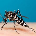 Threat Of Zika Virus In The US